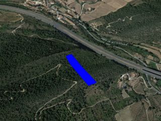 Suelo rústico en Cabra del Camp - Tarragona -