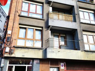 Promoción de viviendas en venta en c. ibaigane, 5 en la provincia de Bizkaia