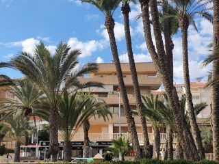 Vivienda en venta en c. san bartolome de tirajana, 34, Arenales Del Sol, Los, Alicante Vivienda en venta en c. san bartolome de tirajana, 34, Arenales Del Sol, Los, Alicante