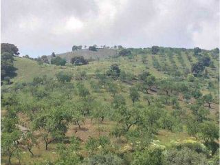 Terreno en venta en pre. monte, Ugijar, Granada