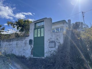Promoción de viviendas en venta en c. el ficus, 17 en la provincia de Las Palmas Promoción de viviendas en venta en c. el ficus, 17 en la provincia de Las Palmas